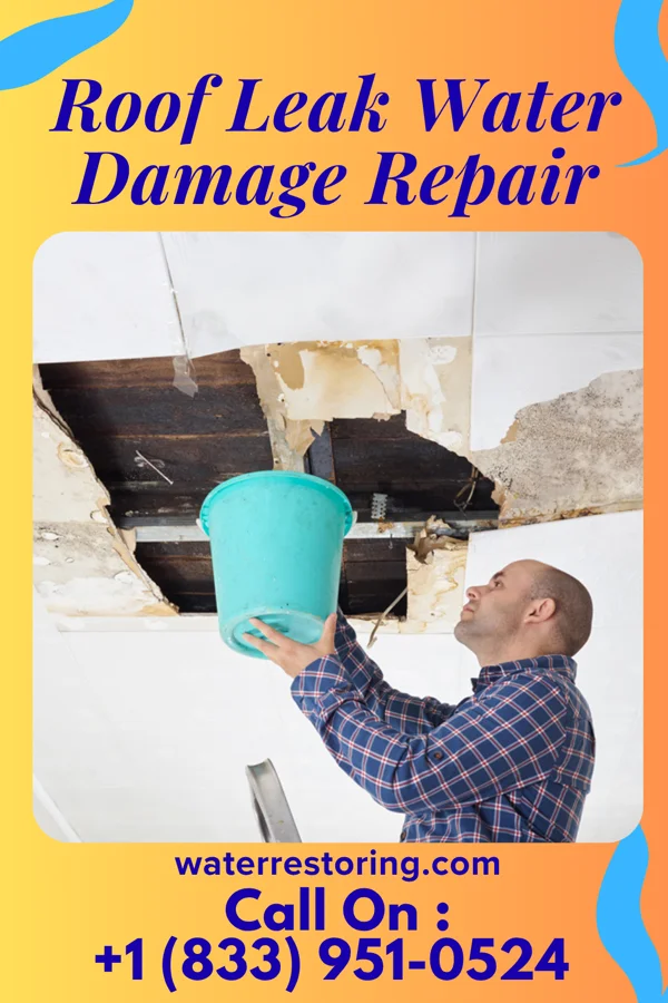 Roof Leak Water Damage Repair in Octavia, NE